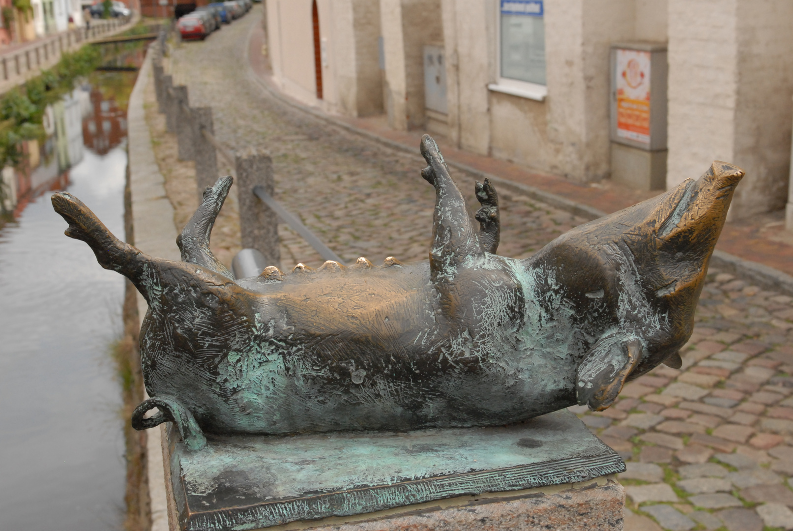 Schwein auf dem Rücken