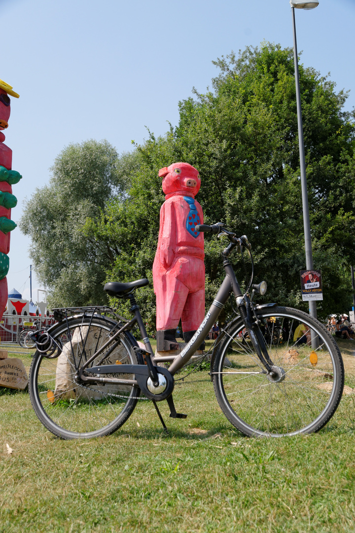 Schwein fährt Rad