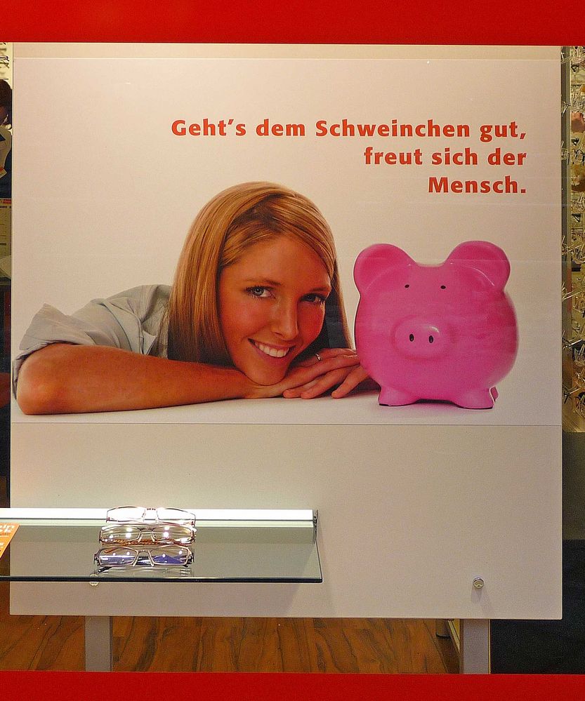 Schwein gehabt ?