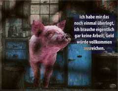 Schwein gehabt