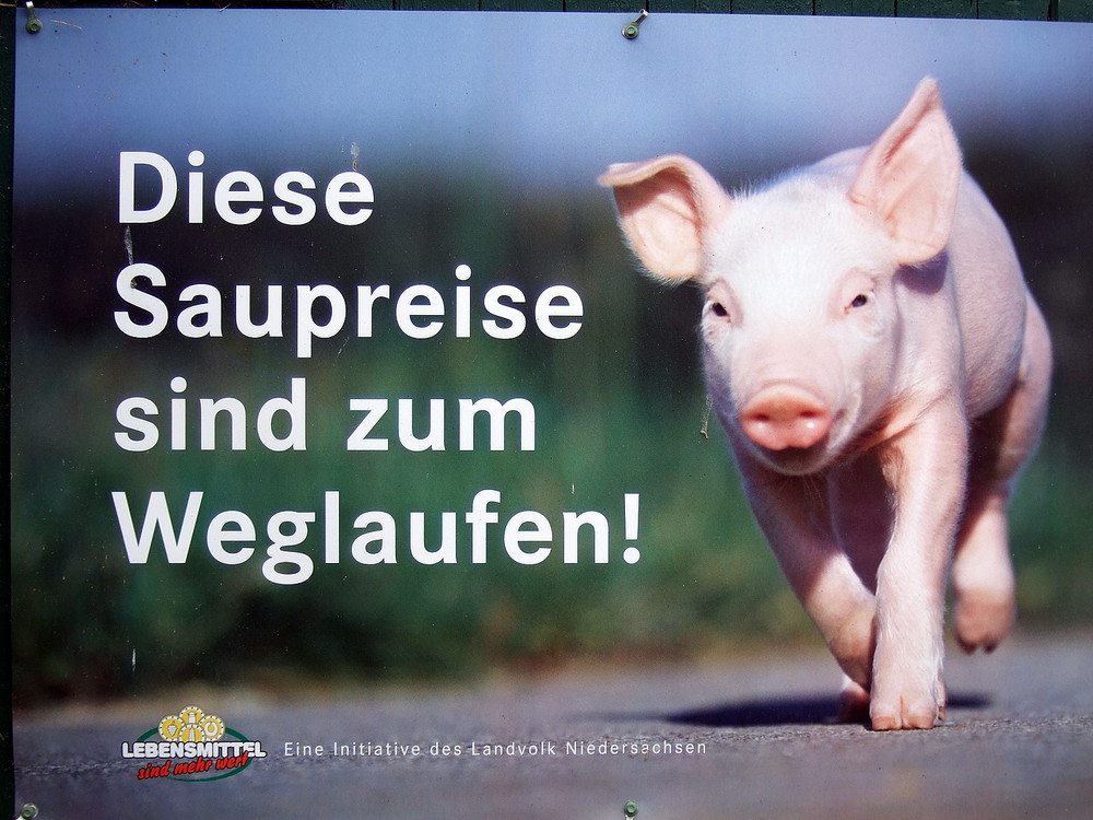 -Schwein gehabt-