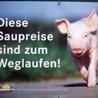 -Schwein gehabt-