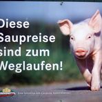 -Schwein gehabt-