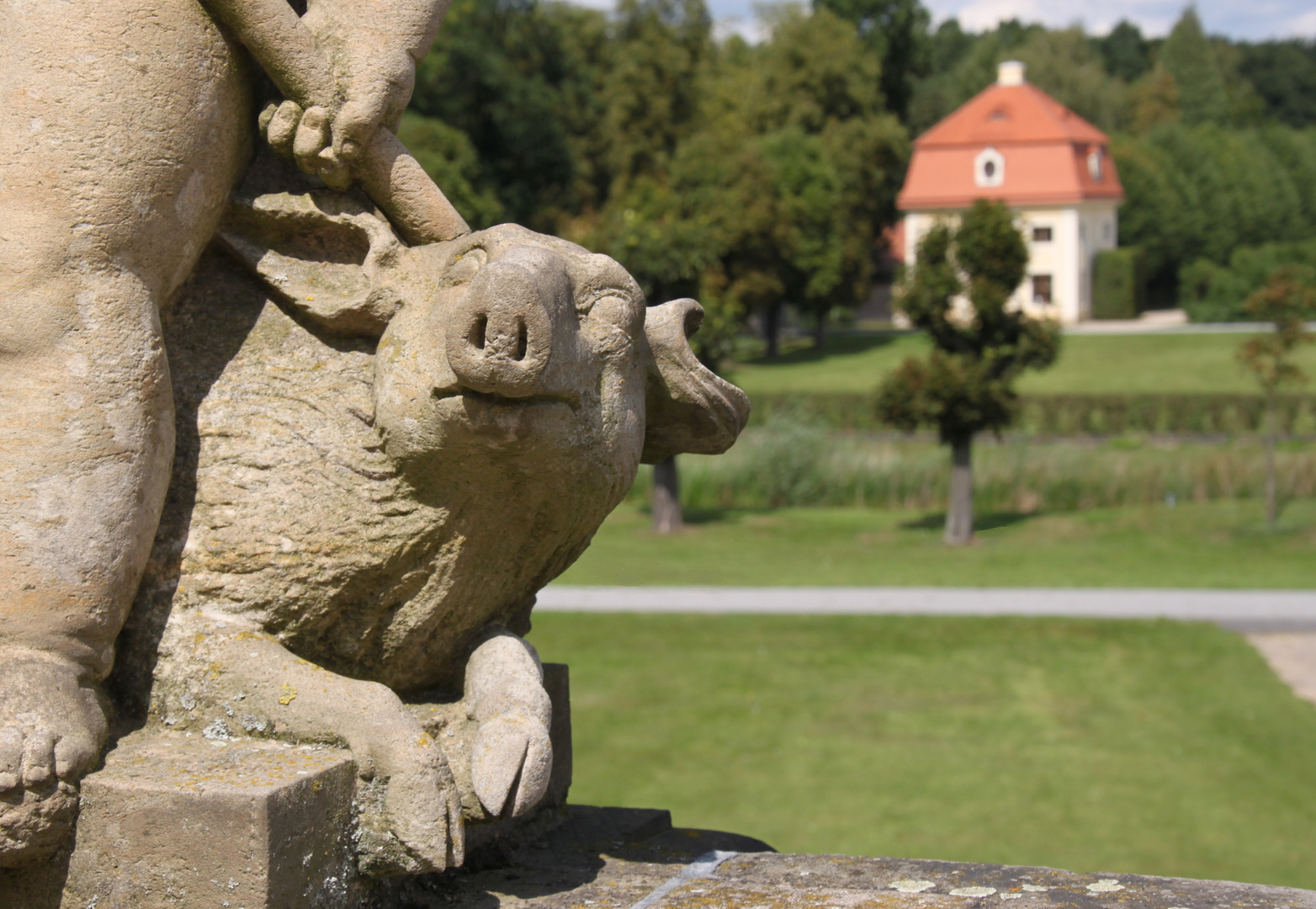 schwein von moritzburg 