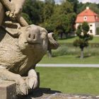 schwein von moritzburg 