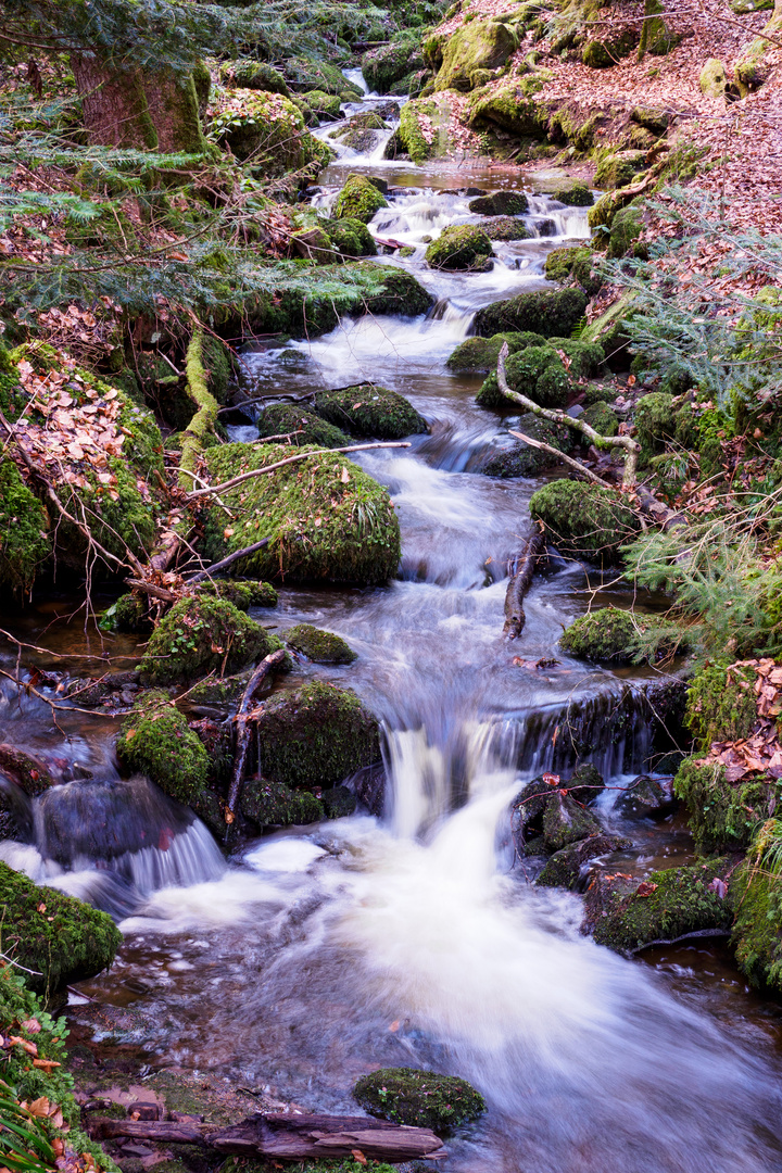 Schweinbachtal I