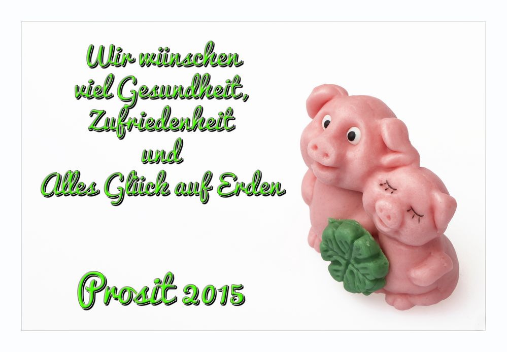 Schweinchen Foto Bild Karten Und Kalender Neujahrswunsche Gwk Bilder Auf Fotocommunity