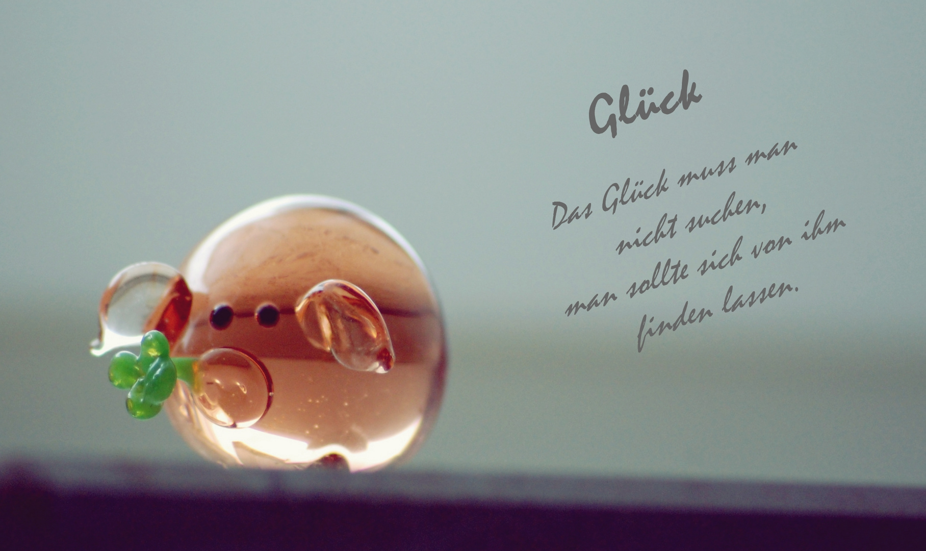 Schweinchen Glück Foto & Bild stillleben, glück, schwein Bilder auf