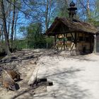 Schweinchen im Park