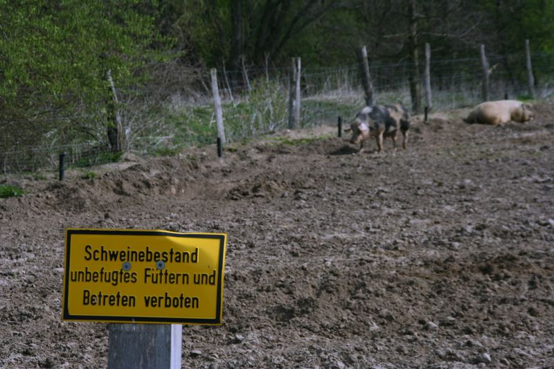 Schweine...... Betreten verboten