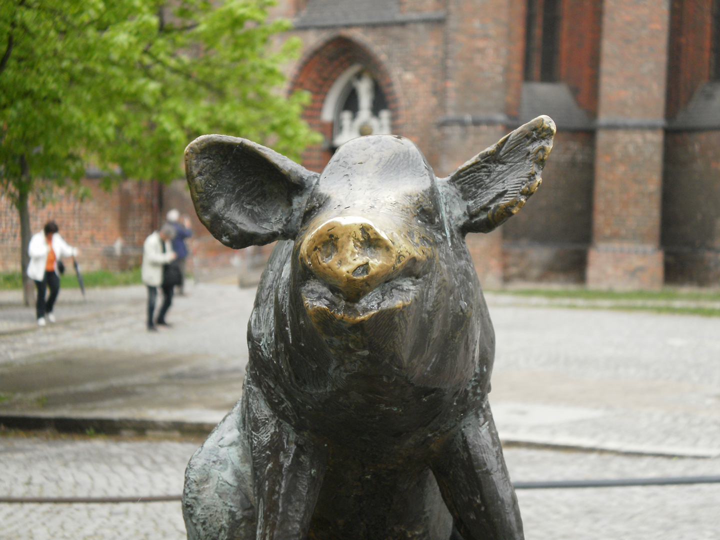 Schweine bringen Glück