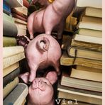 "Schweine zwischen Büchern"