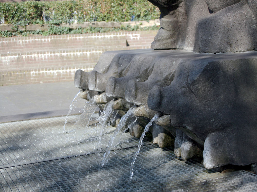 Schweinebrunnen