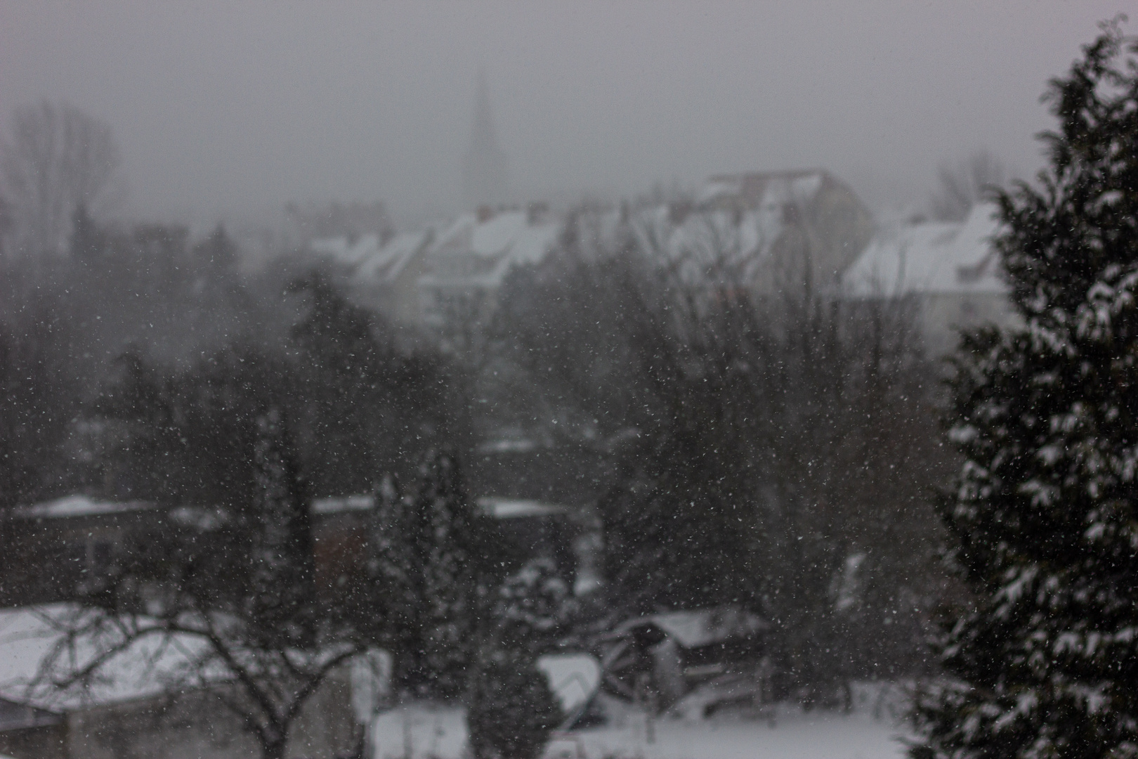 schweinekalt übern Hinterhof hinaus