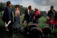 Schweinemarkt in Otavalo