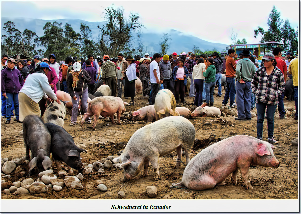 Schweinerei