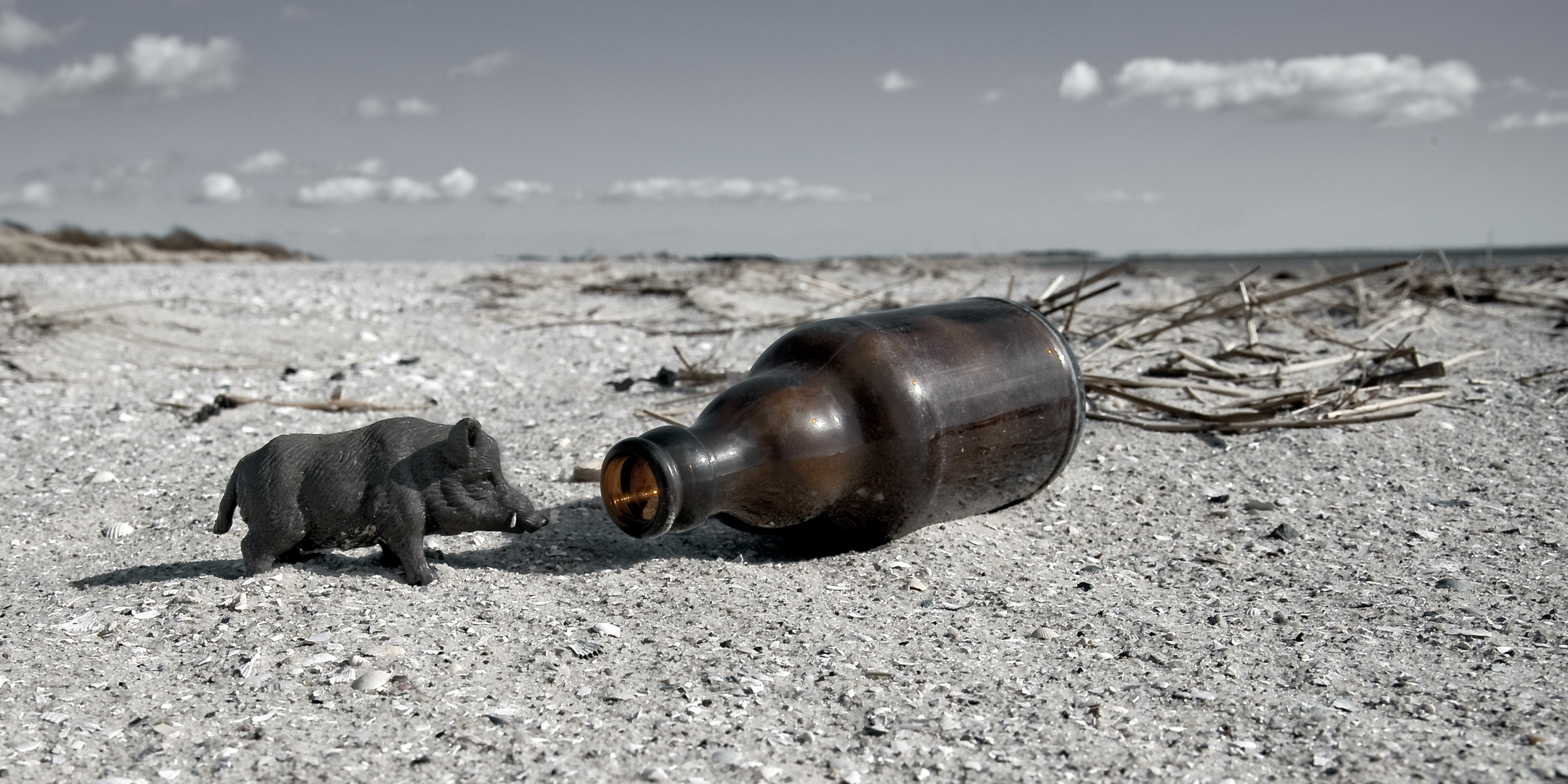 "Schweinerei am Strand" - Flaschenpfand