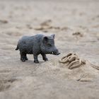 "Schweinerei am Strand" - Im Watt