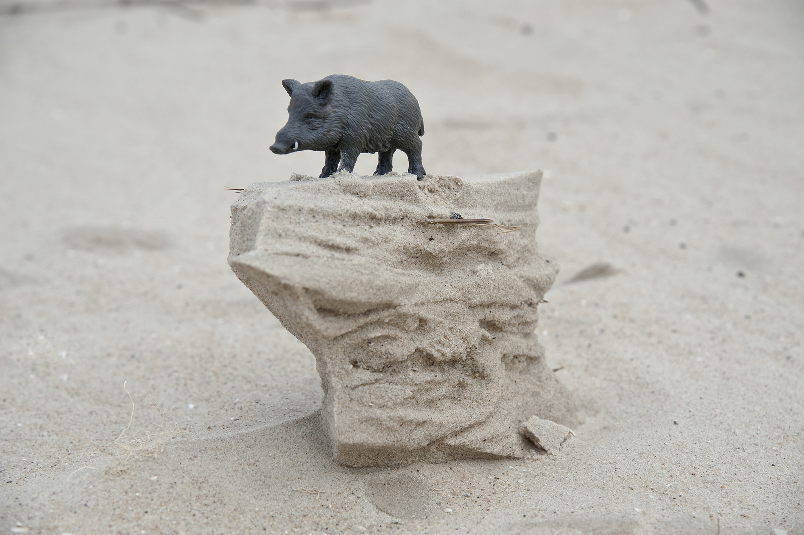 "Schweinerei am Strand" - Monument Valley