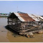  Schweinerei auf dem Tonle Sap