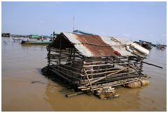  Schweinerei auf dem Tonle Sap