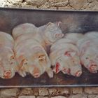 Schweinerei in Jaffa