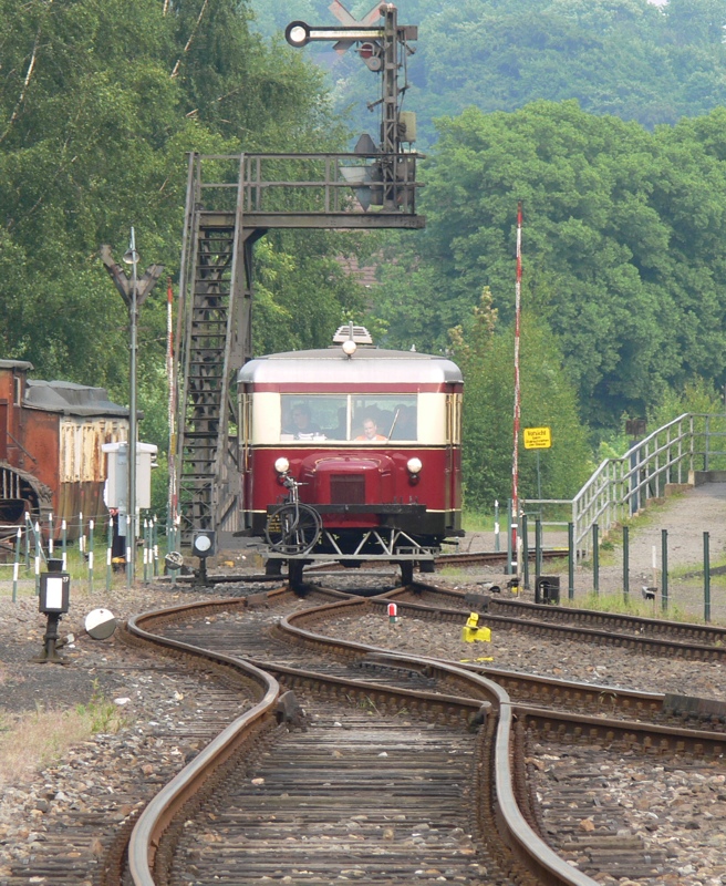 Schweineschnäuzchen auf großer Fahrt