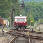 Schweineschnäuzchen auf großer Fahrt