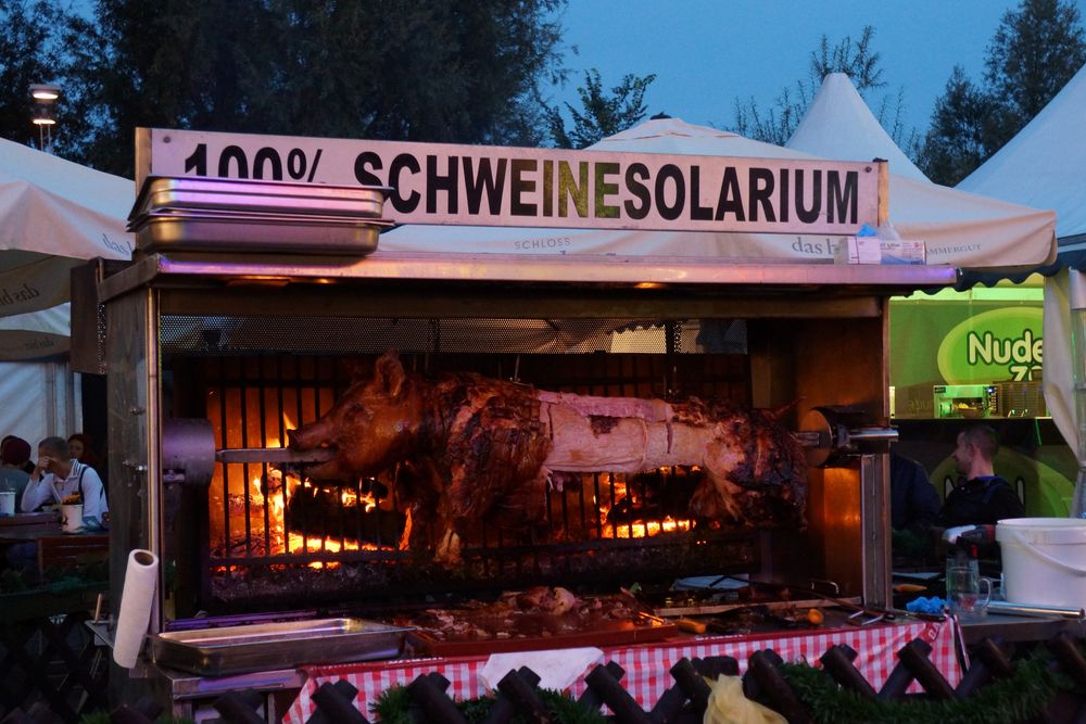 Schweinesolarium