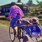 Schweinetransport in Myanmar