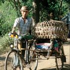 Schweinetransport, Myanmar