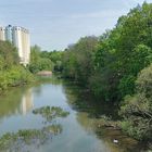 Schweinfurt: Altmain im Frühling