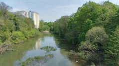 Schweinfurt: Altmain im Frühling