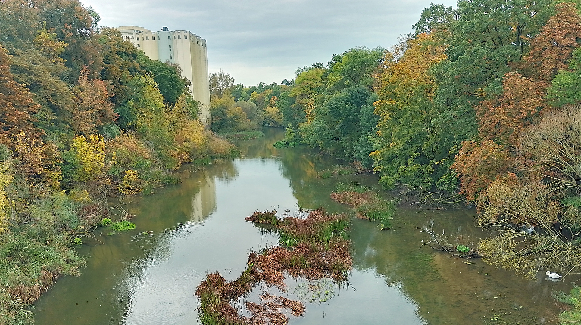 Schweinfurt Altmain im Herbst