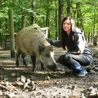 schweinische Freundschaft