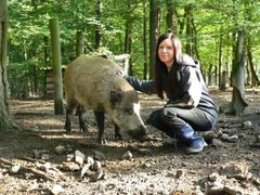 schweinische Freundschaft