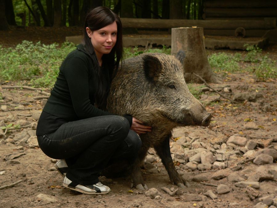 schweinische Freundschaft