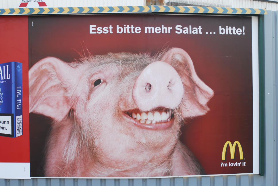 Schweinische Salat-Reklame