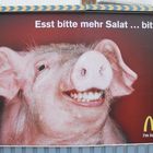 Schweinische Salat-Reklame