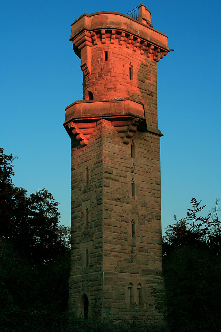 Schweinsbergturm von aufgehender Sonne angestrahlt