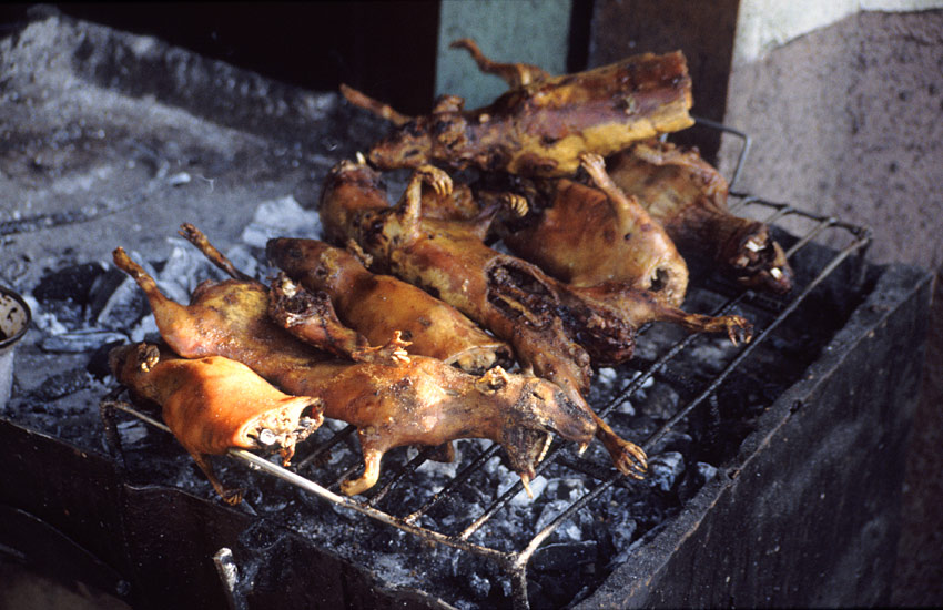 "Schweinsbraten" ecuadorianische Art