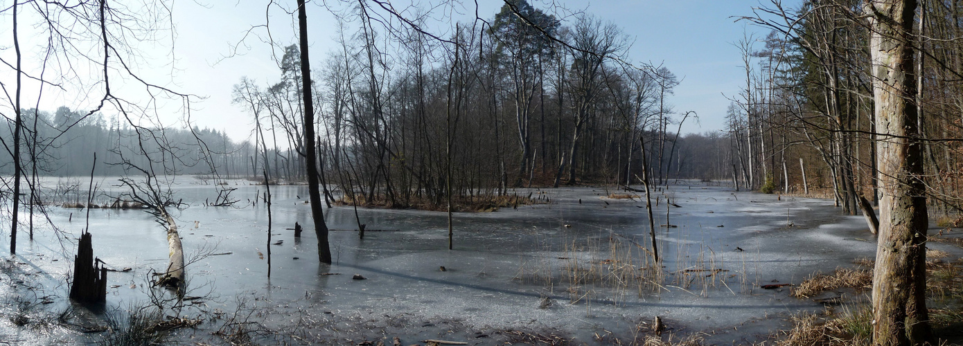 Schweinsgartensee I (Serrahn-Müritz Nationalpark) - 2011-03