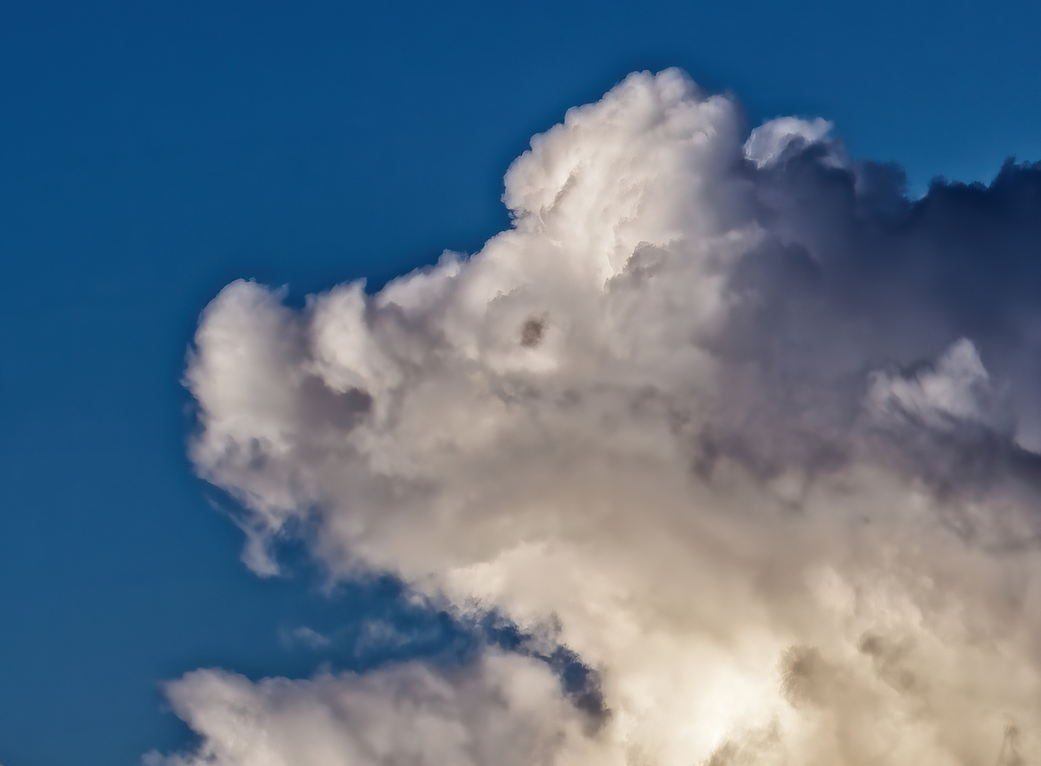 "SCHWEINSKOPF ..... WOLKE" - nicht Sülze