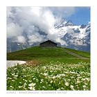 Schweiz / Berner Oberland / No. CH_0168_01