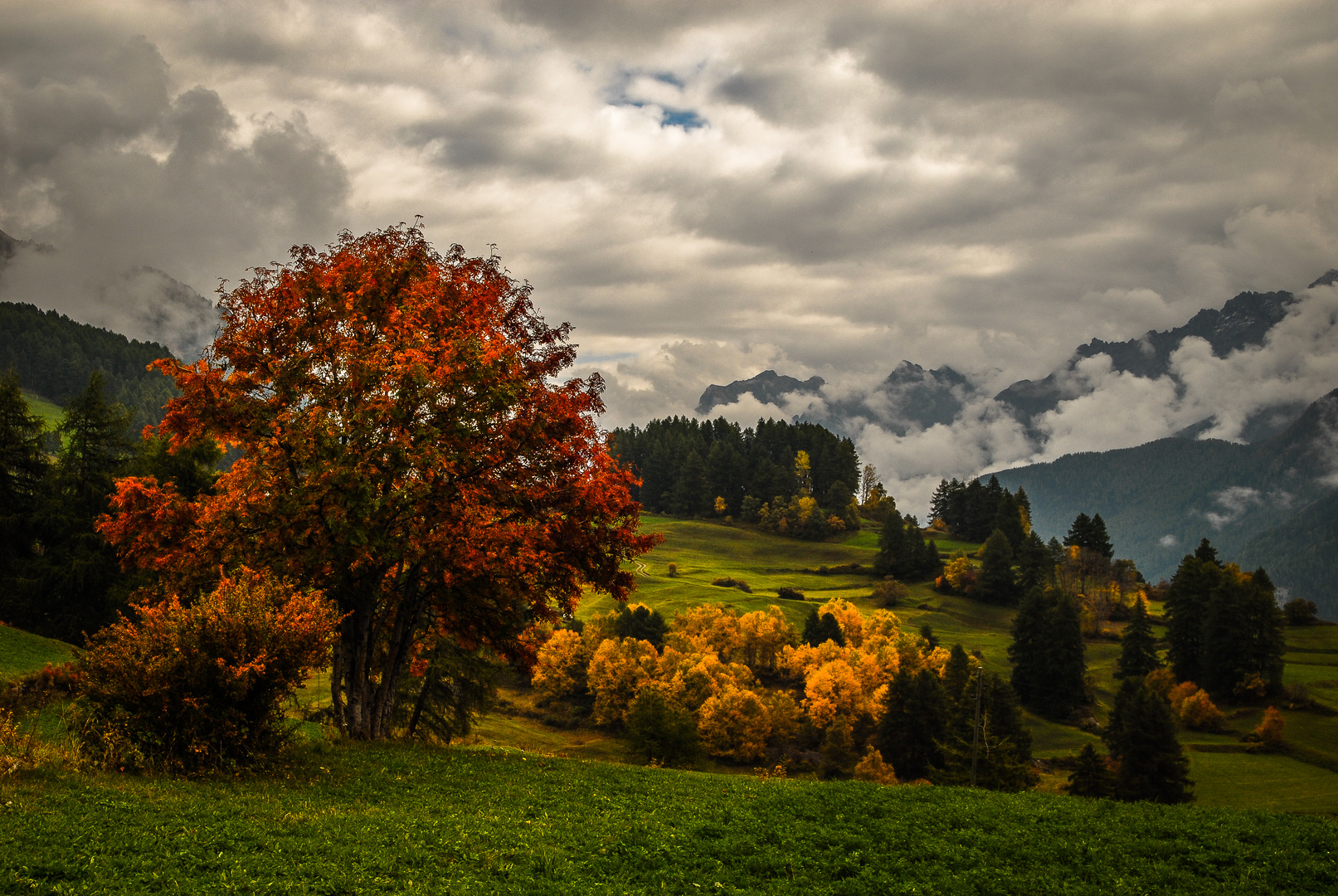 Schweiz Engadin - Herbst in Guarda