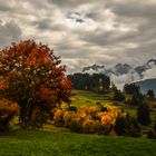 Schweiz Engadin - Herbst in Guarda