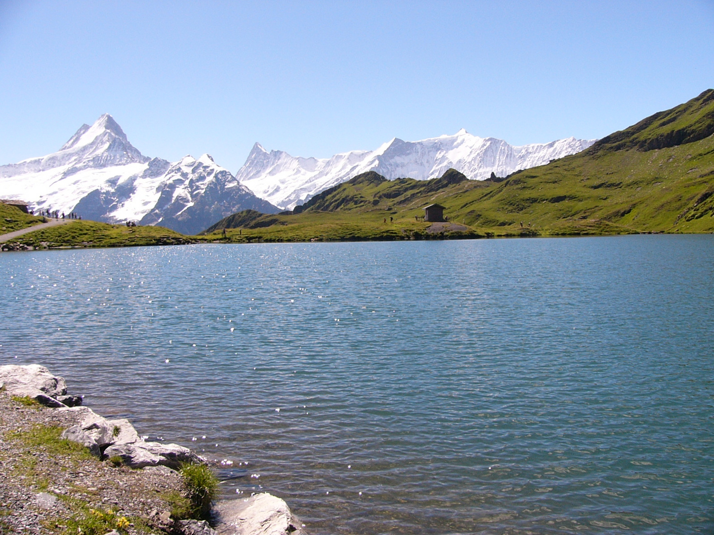 Schweiz, Grindelwald, Bachalpsee im Sommer