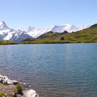 Schweiz, Grindelwald, Bachalpsee im Sommer