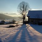 Schweiz im Winterschlaf