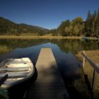 Schweiz - Kanton Bern - Lauenensee